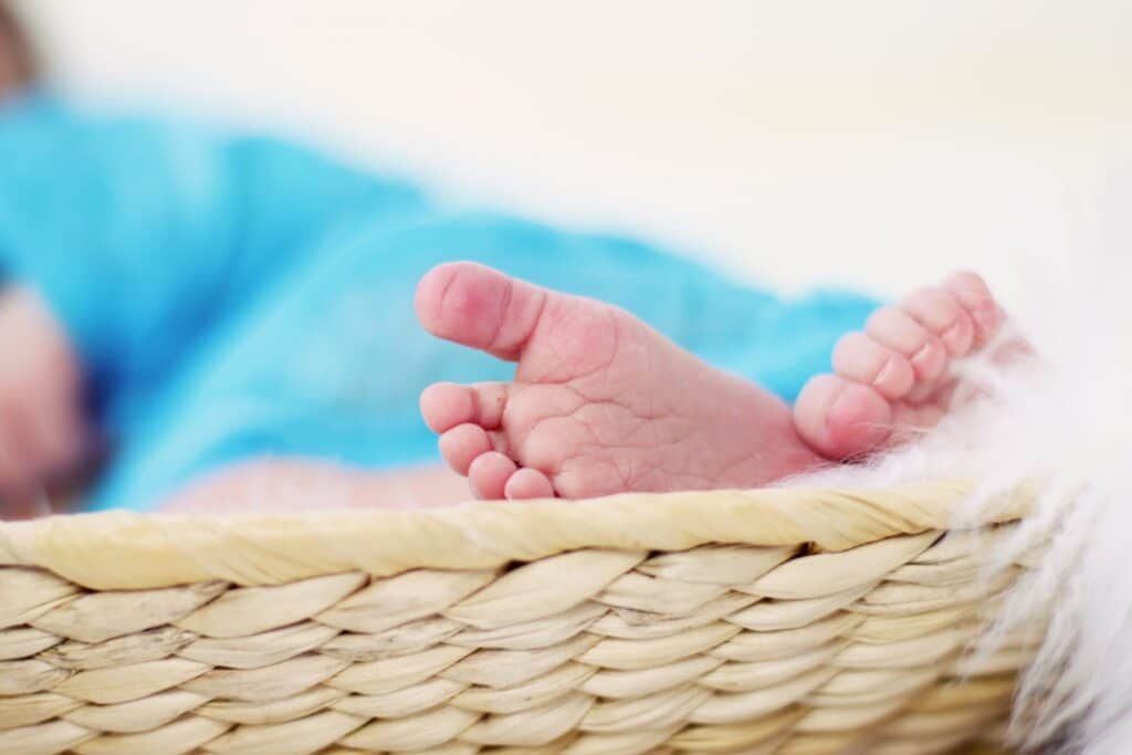 feet-619534