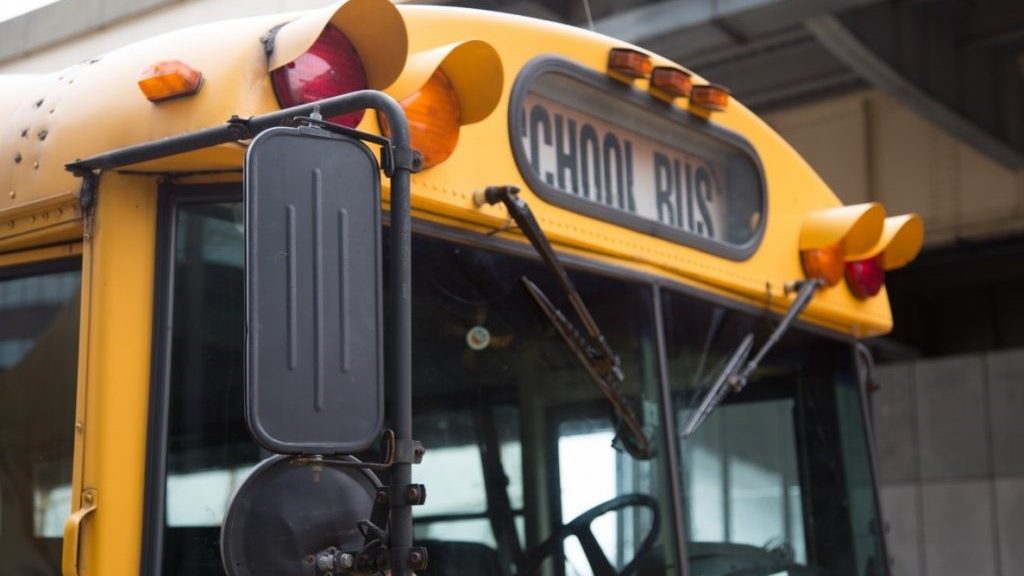 Boy Walking to Bus Stop Hit and Killed