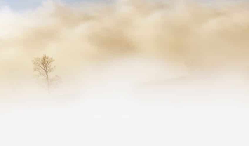 fog-240075-e1487420182646