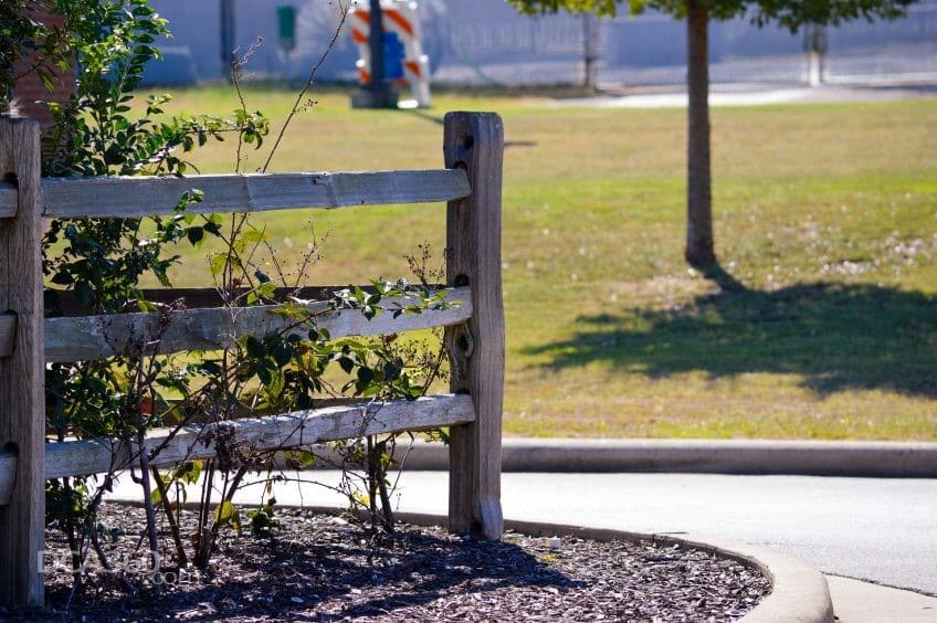 fence-2807821_1920-e1536089641389
